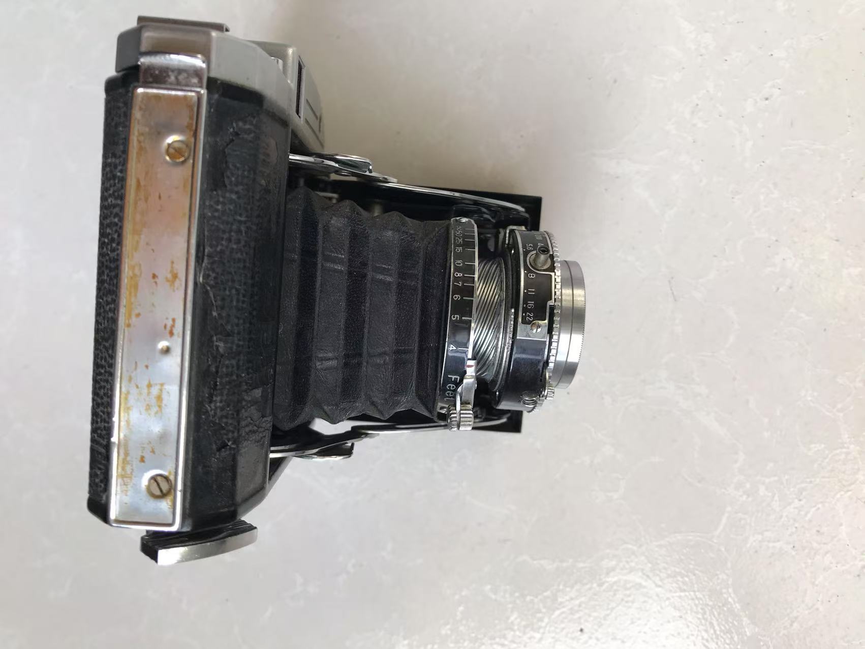 [Product=Camera][Brand=Kodak][Model=Pearl II][Date=20250317][MD5=a83de2e0cac17e731ed9563d7a0422a5].jpg