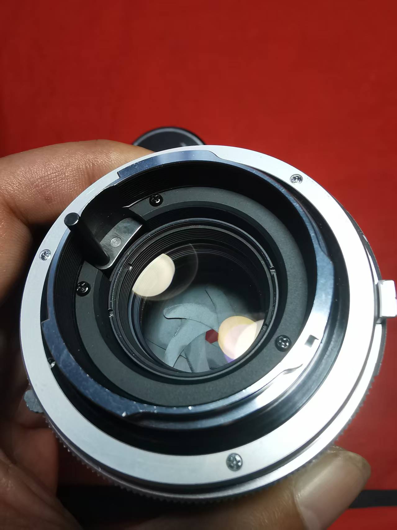 [Product=Lens][Brand=Minolta][Model=MC TELE ROKKOR-PF 100mm F2.5][FocalLength=100][MaxAPT=2.5][Mount=MD][SN=1510024][Frame=135][Date=20250405][MD5=9e4df82e5e8f1a31a7705c81d689bb93].jpg