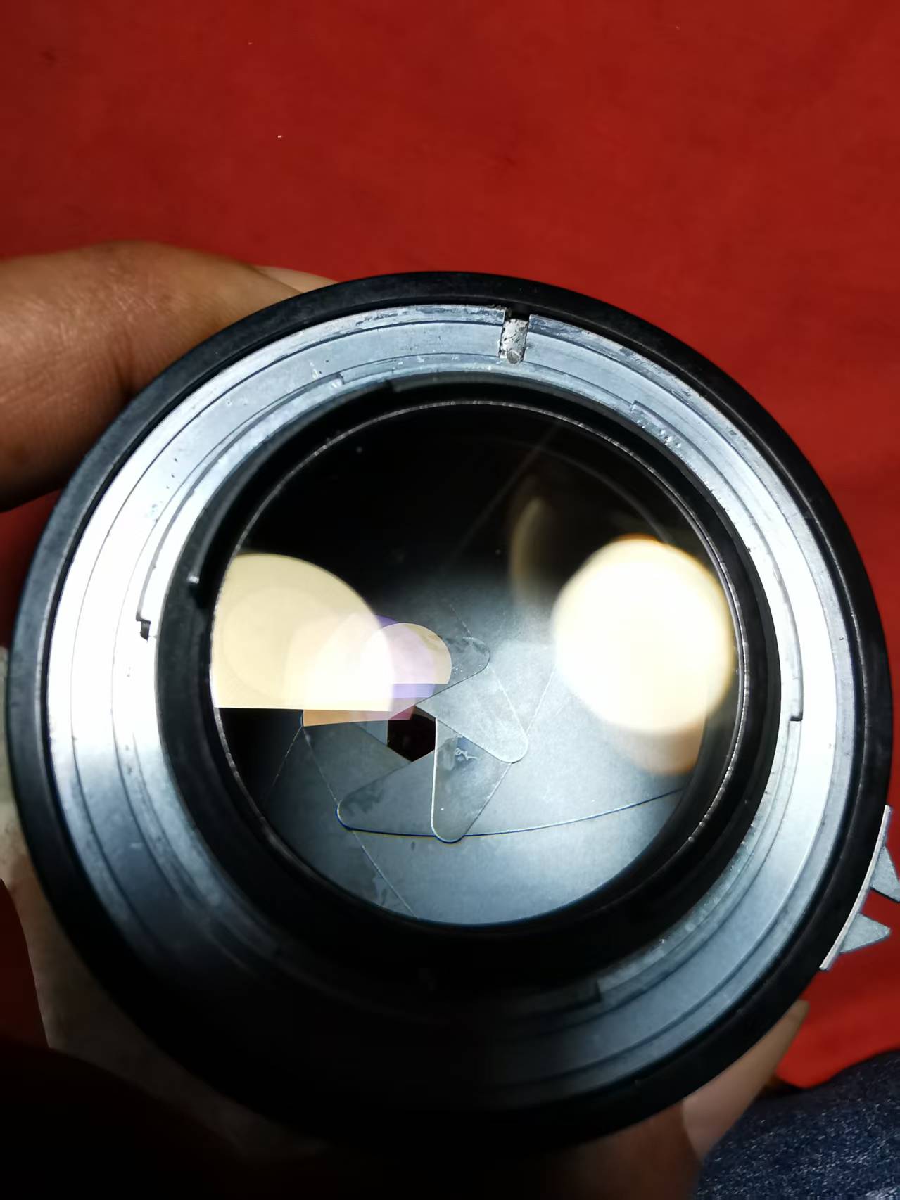 [Product=Lens][Brand=Nikon][Model=NIKKOR-S Auto 50mm F1.4][FocalLength=50][MaxAPT=1.4][SN=348109][Frame=135][Date=20250503][MD5=fa824dc03a29bfaa04049939620f1d87].jpg