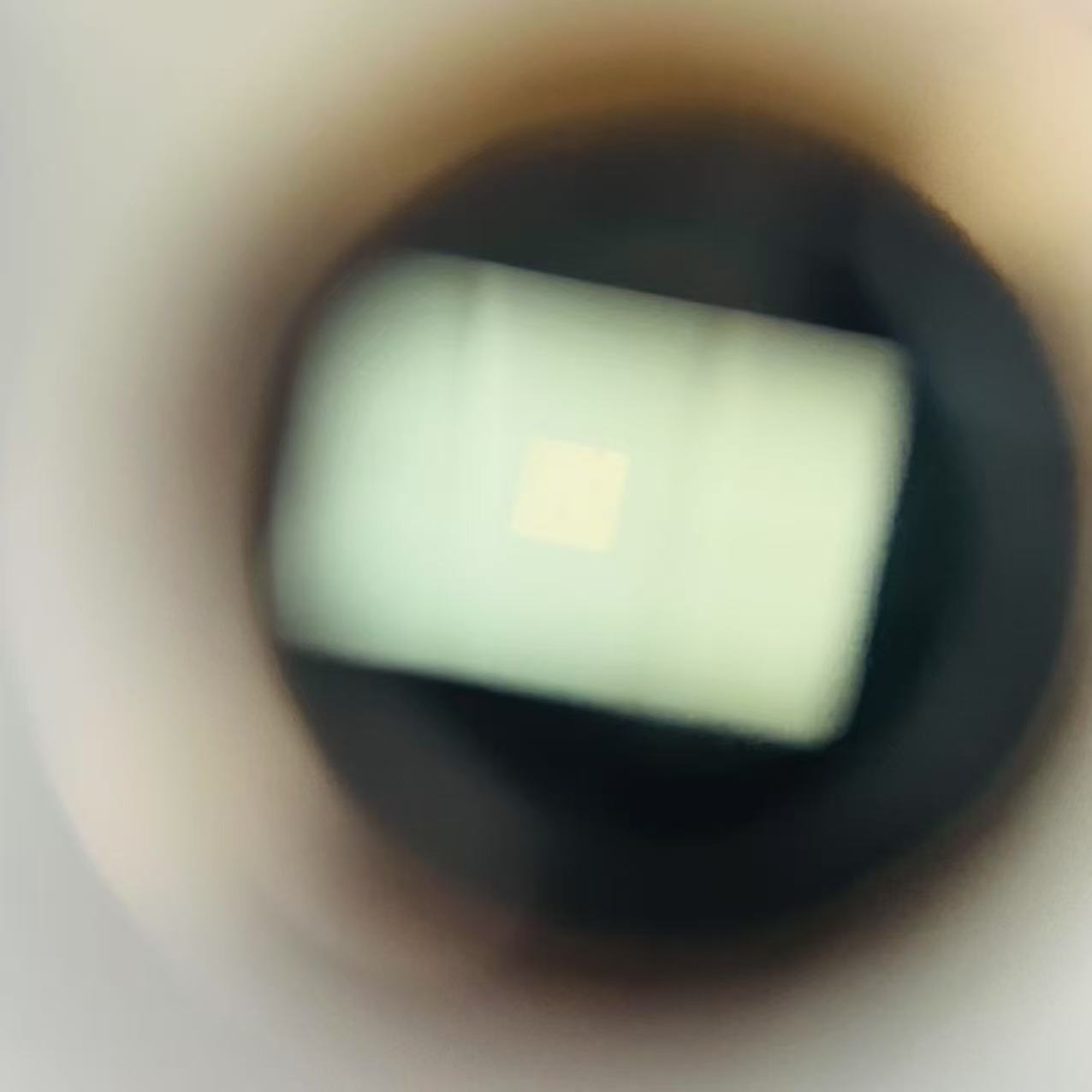 [Product=Camera][Brand=Voigtländer][Model=VITESSA T][SN=1151226][Date=20250509][MD5=e36291093762c66cd086ece9aff6cbf0].jpg