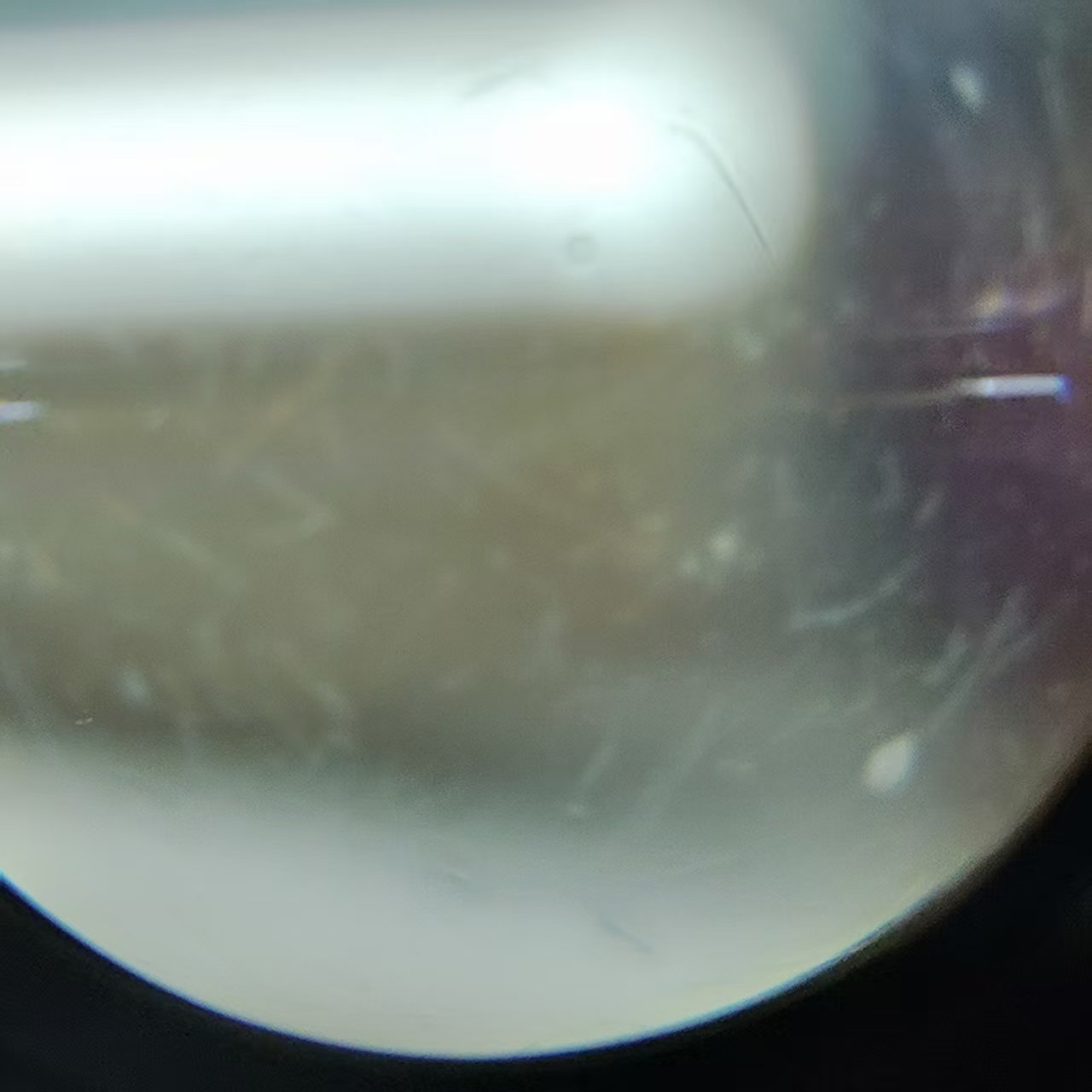 [Product=Lens][Brand=KNZ][Model=ЮПИТЕР-3 50mm F1.5][FocalLength=50][MaxAPT=1.5][Mount=L39][SN=6002788][Frame=135][Date=20250524][MD5=54de04e7b10590a7bfbc52ff2fd53c00].jpg