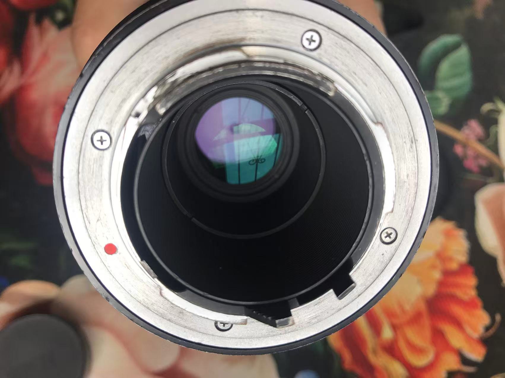 [Product=Lens][Brand=Carl Zeiss][Model=Tele-Tessar 300mm F4][FocalLength=300][MaxAPT=4][SN=5991832][Date=20250602][MD5=f2a57a7e5470444fba58a2ab0effc2ae].jpg