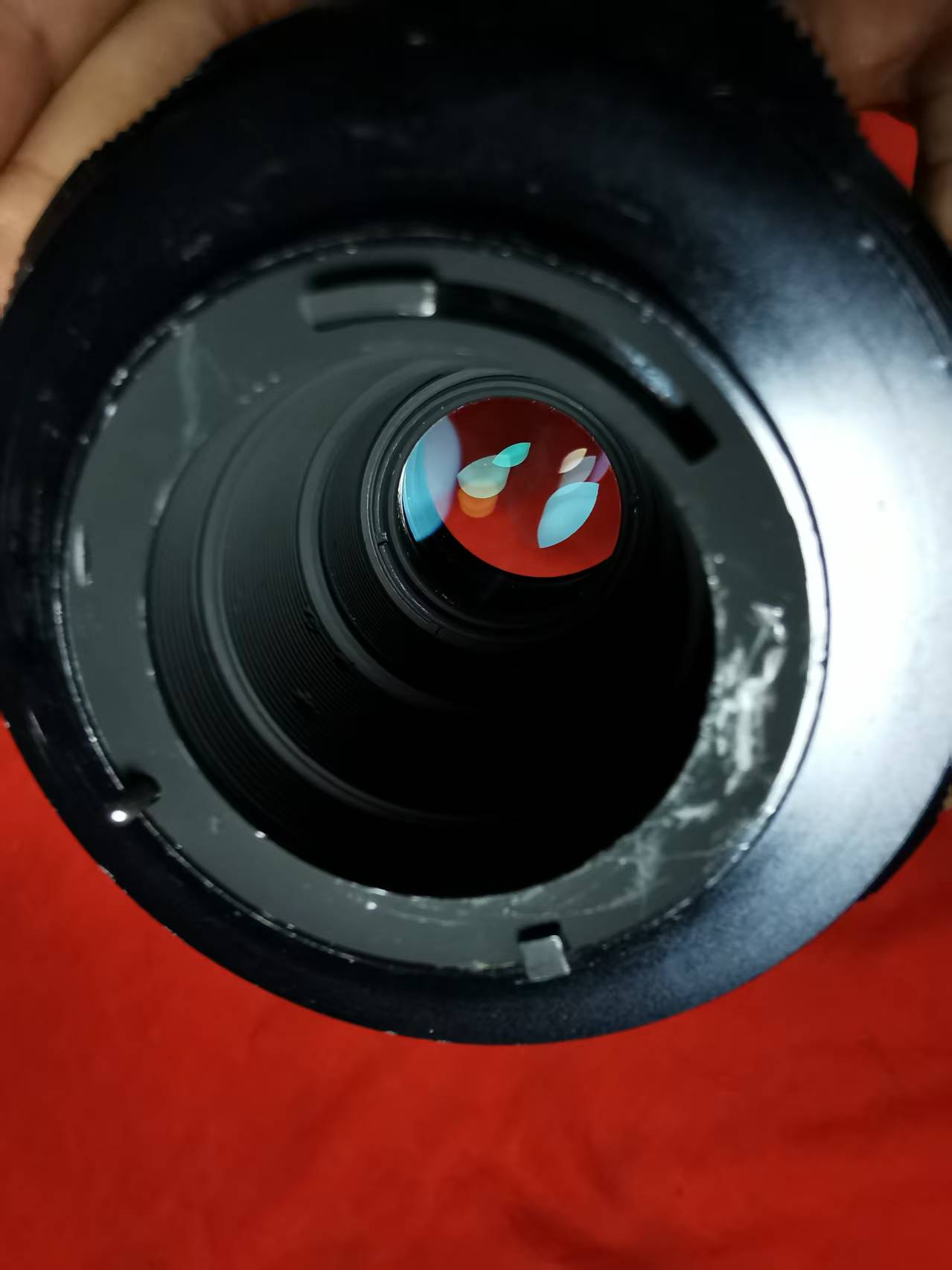 [Product=Lens][Brand=Pentax][Model=Super-Multi-Coated Macro-Takumar 100mm F4][FocalLength=100][MaxAPT=4][Mount=M42][SN=5732523][Frame=135][Date=20250607][MD5=85250158daf1f338ab2fb01eaa35730f].jpg