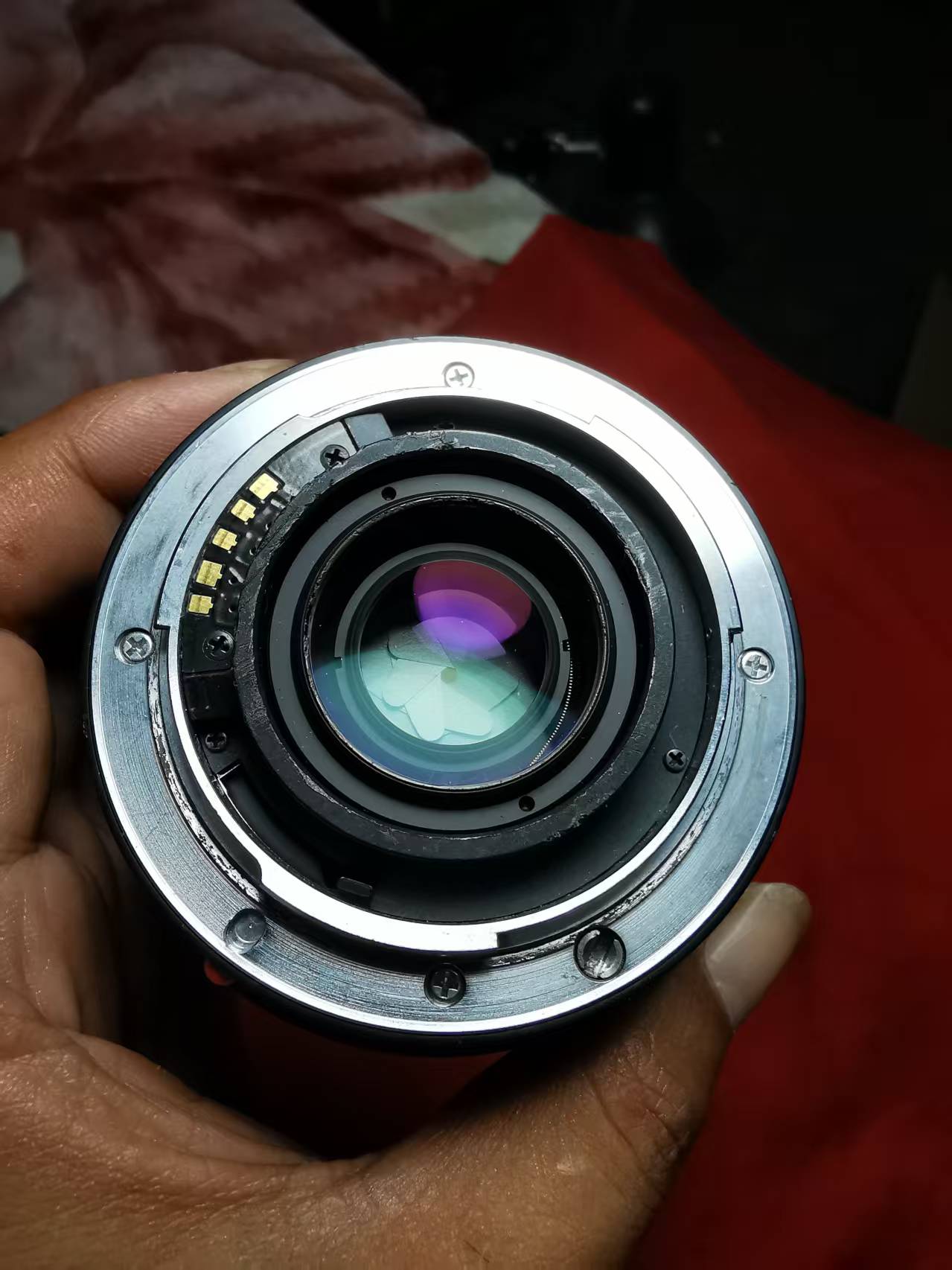 [Product=Lens][Brand=Minolta][Model=AF Macro 50mm F2.8 (32)][FocalLength=50][MaxAPT=2.8][Frame=135][Date=20250614][MD5=31319a8661e6e8e127f54a272c465fea].jpg