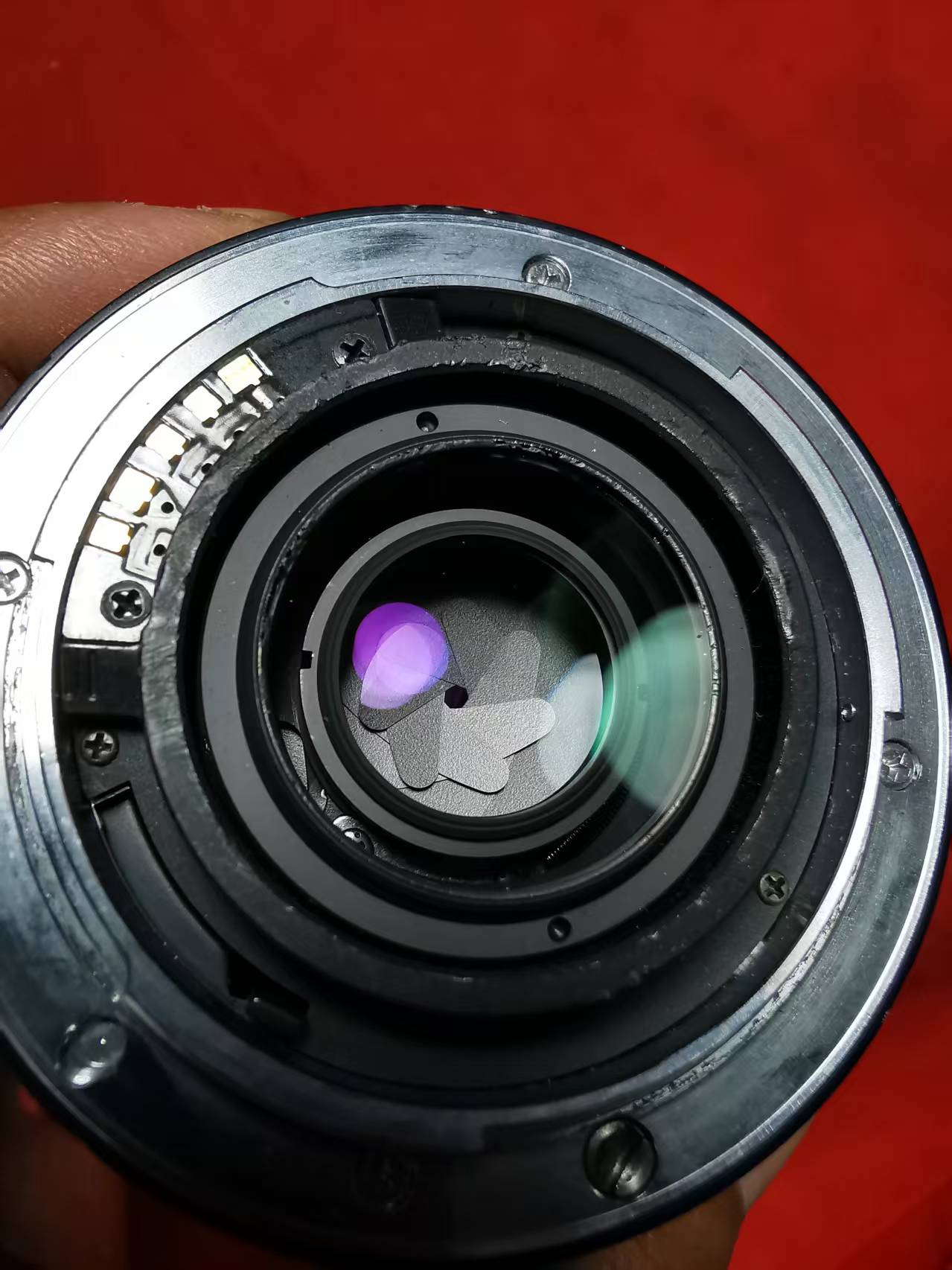 [Product=Lens][Brand=Minolta][Model=AF Macro 50mm F2.8 (32)][FocalLength=50][MaxAPT=2.8][Frame=135][Date=20250614][MD5=fd9dfe7e489b08ca5674faf2ced06b25].jpg