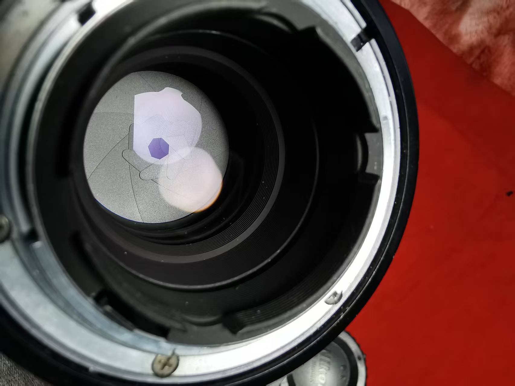 [Product=Lens][Brand=Nikon][Model=NIKKOR-Q Auto 135mm F2.8][FocalLength=135][MaxAPT=2.8][SN=363035][Frame=135][Date=20250614][MD5=7ef337203d8ae5466a4dbe106e005141].jpg