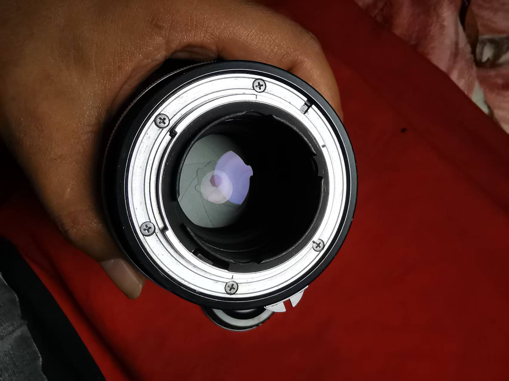 [Product=Lens][Brand=Nikon][Model=NIKKOR-Q Auto 135mm F2.8][FocalLength=135][MaxAPT=2.8][SN=363035][Frame=135][Date=20250614][MD5=d8b91f48b7c9ba19b6bd4228981b743a].jpg