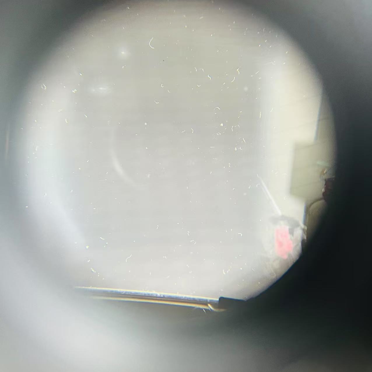 [Product=View Finder][Date=20250615][MD5=b68c0f29a60bdd81679ef36322a0f0a1].jpg