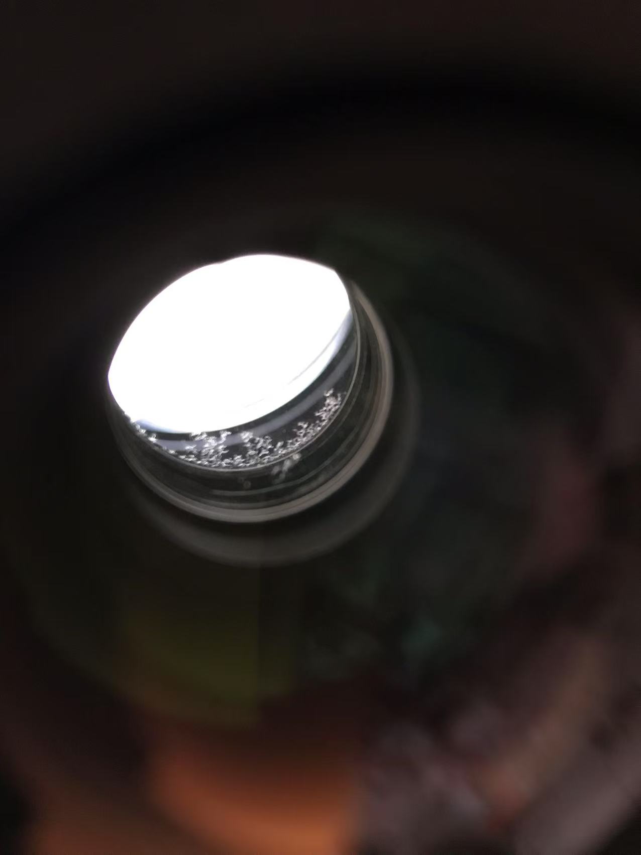 [Product=Lens][Brand=Nikon][Model=AF NIKKOR 75-300mm F4.5-5.6][FocalLength=75-300][MaxAPT=4.5-5.6][SN=352039][Frame=135][Date=20250625][MD5=0bd9d2f8f4147627a226b13b90df6a2d].jpg