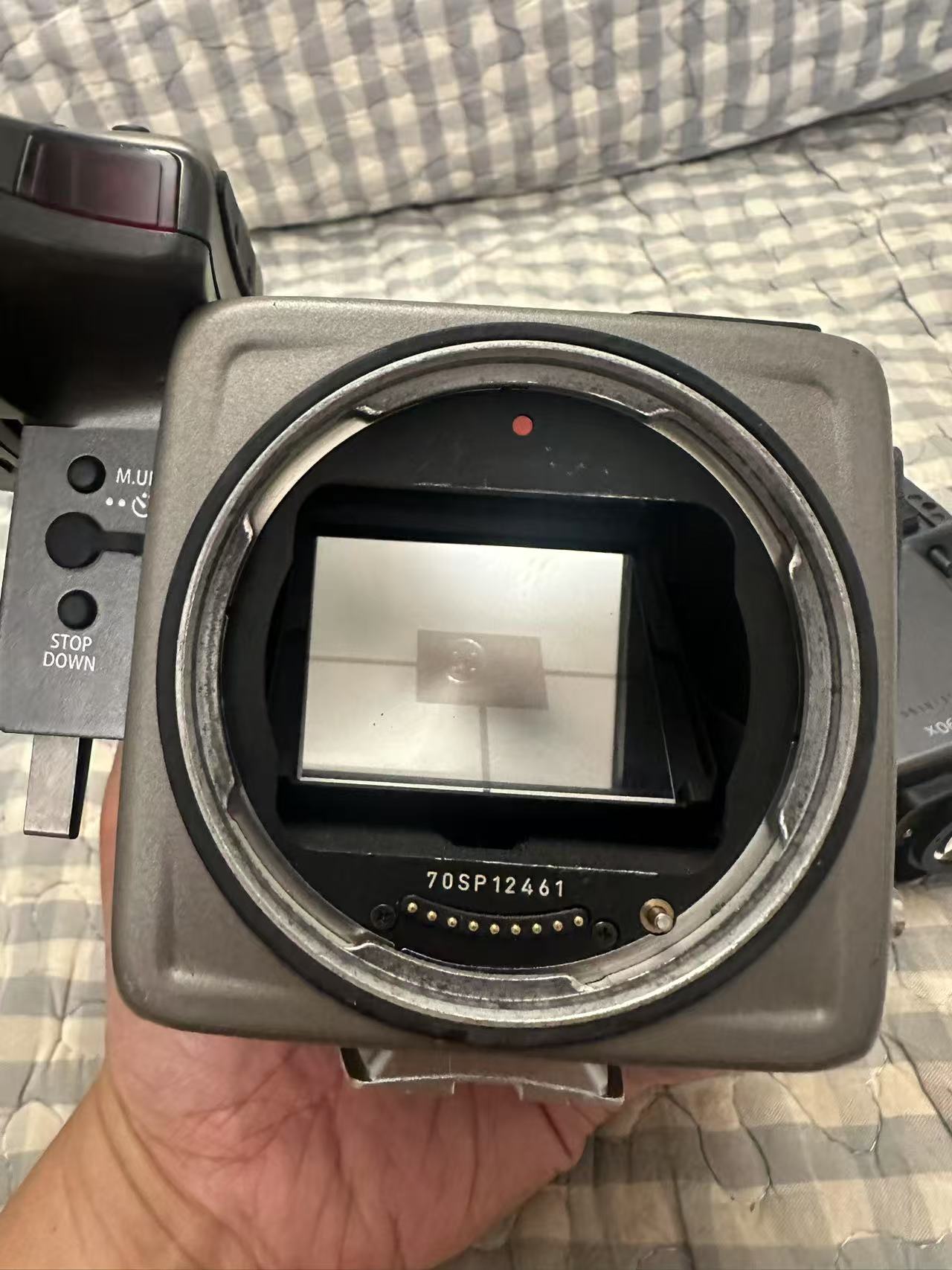 [Product=Camera][Brand=HASSELBLAD][Model=H1][SN=70SP12461][Date=20250627][MD5=6345c005bb2c54d9ed58ff92fce6b6d9].jpg