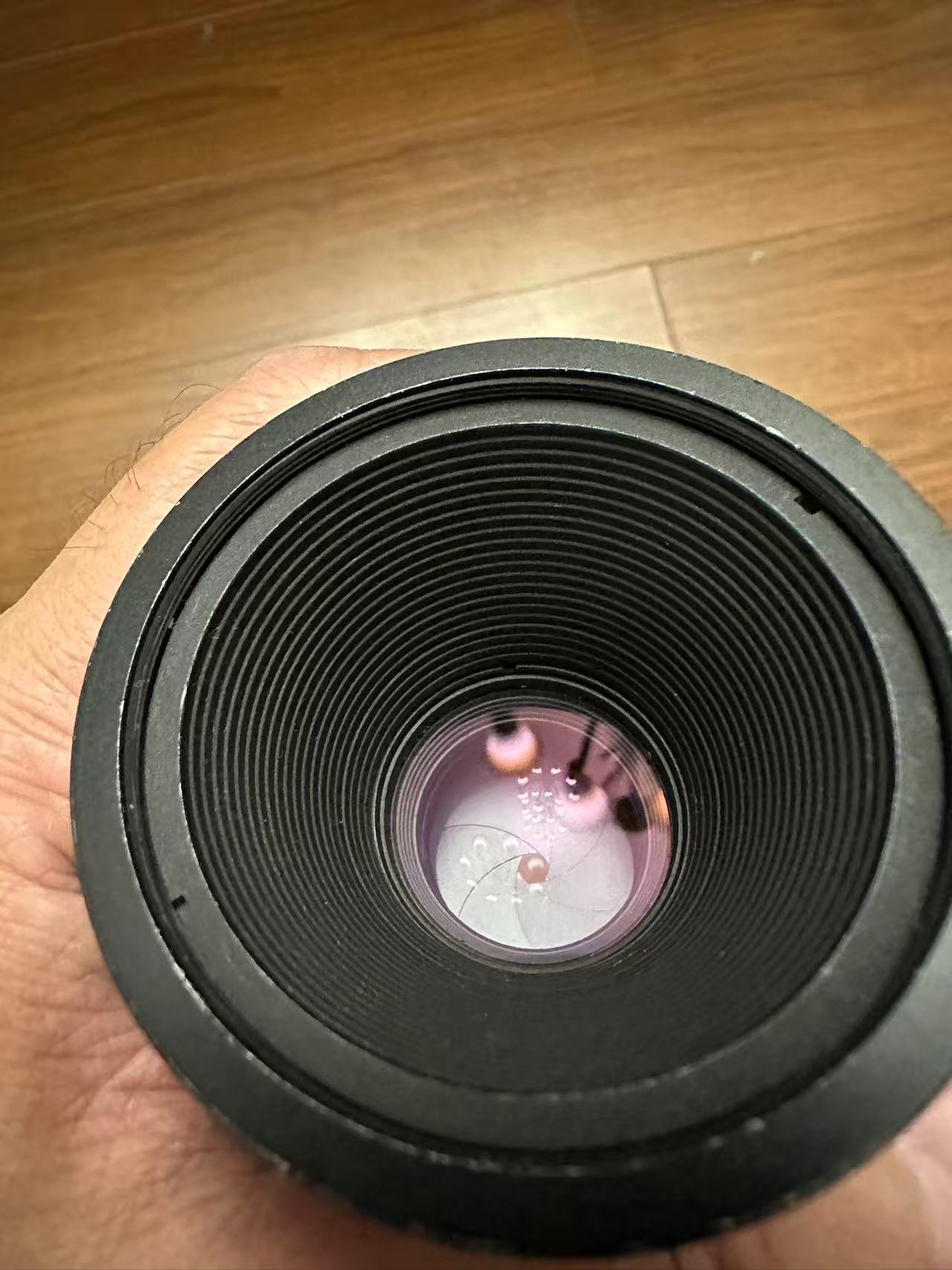 [Product=Lens][Brand=LEITZ WETZLAR][Model=MACRO ELMARIT-R 60mm F2.8][FocalLength=60][MaxAPT=2.8][SN=3064632][Frame=135][Date=20250627][MD5=9ea69a44ad03769c8b7c66f69892db7d].jpg