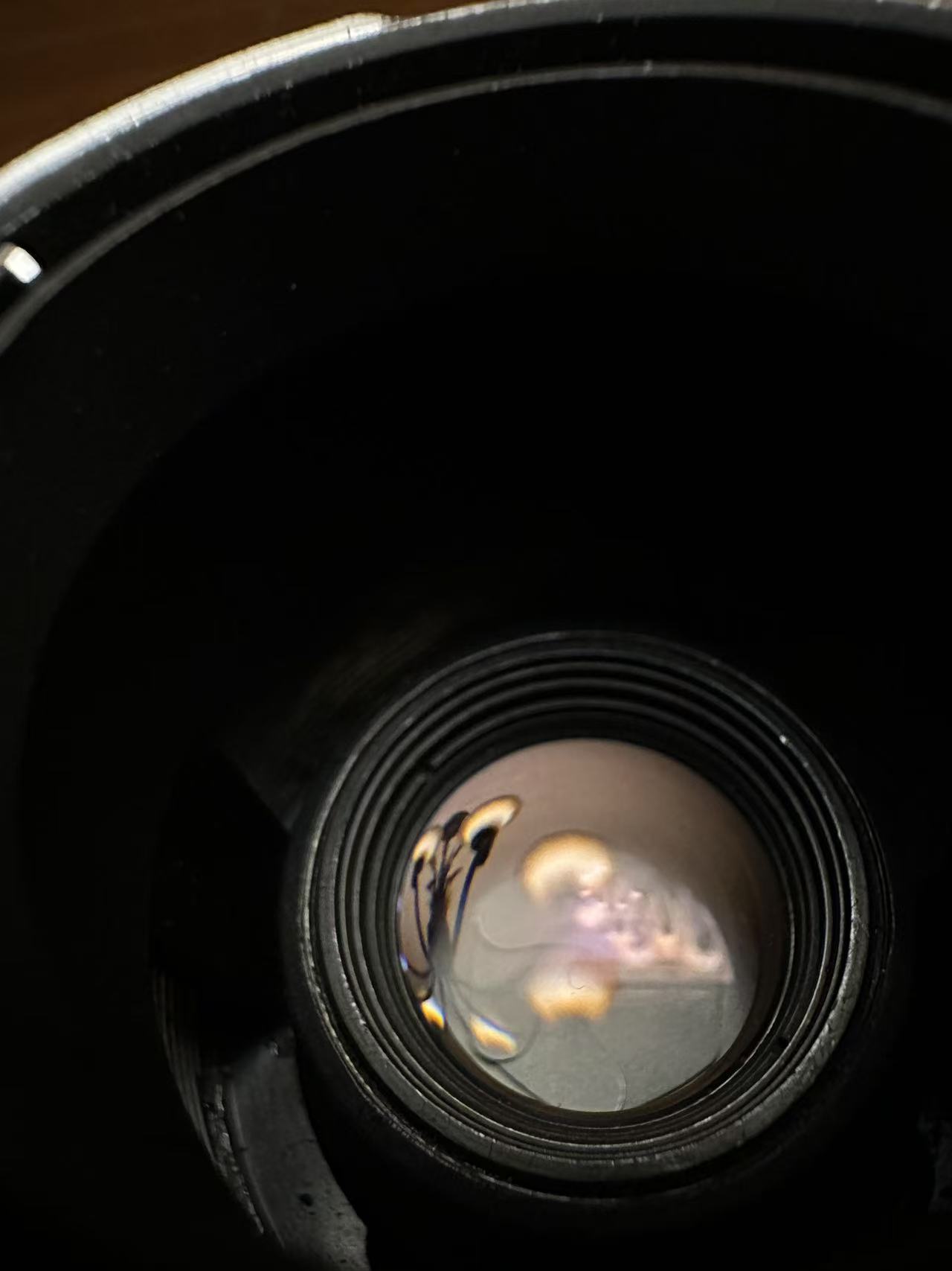 [Product=Lens][Brand=LEITZ WETZLAR][Model=MACRO ELMARIT-R 60mm F2.8][FocalLength=60][MaxAPT=2.8][SN=3064632][Frame=135][Date=20250627][MD5=26acdfc520b377cdc573e901c9a5eaea].jpg