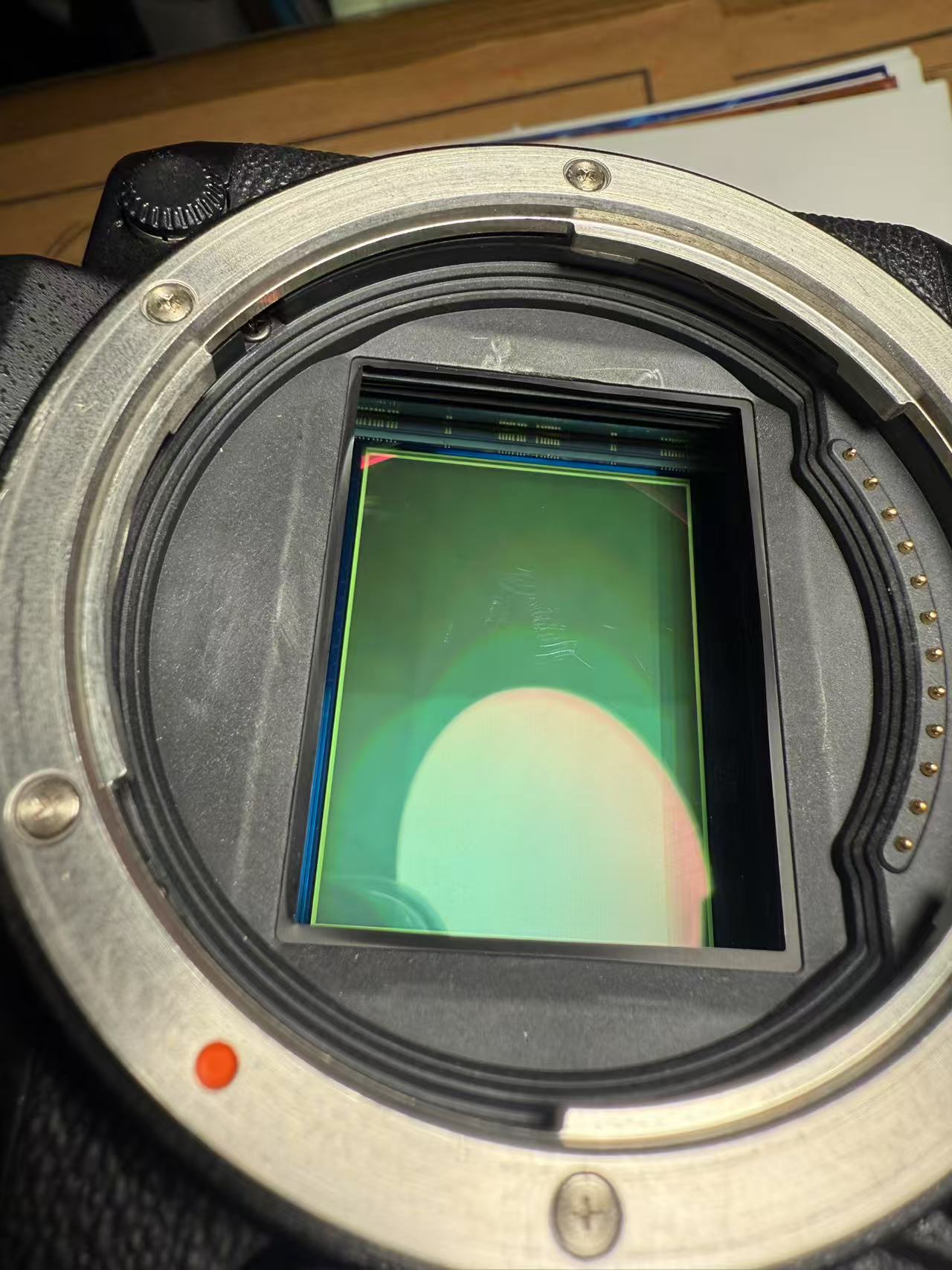 [Product=Camera][Brand=FUJIFILM][Model=GFX 50S][Date=20250723][MD5=8fc8f2e83cb77a3dfa43df1274c809f9].jpg