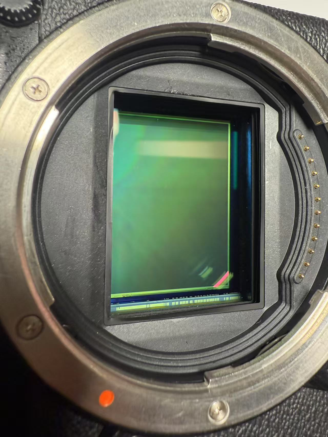 [Product=Camera][Brand=FUJIFILM][Model=GFX 50S][Date=20250723][MD5=14b2b4dc5b1938d6f1eb6eeed0e19d54].jpg