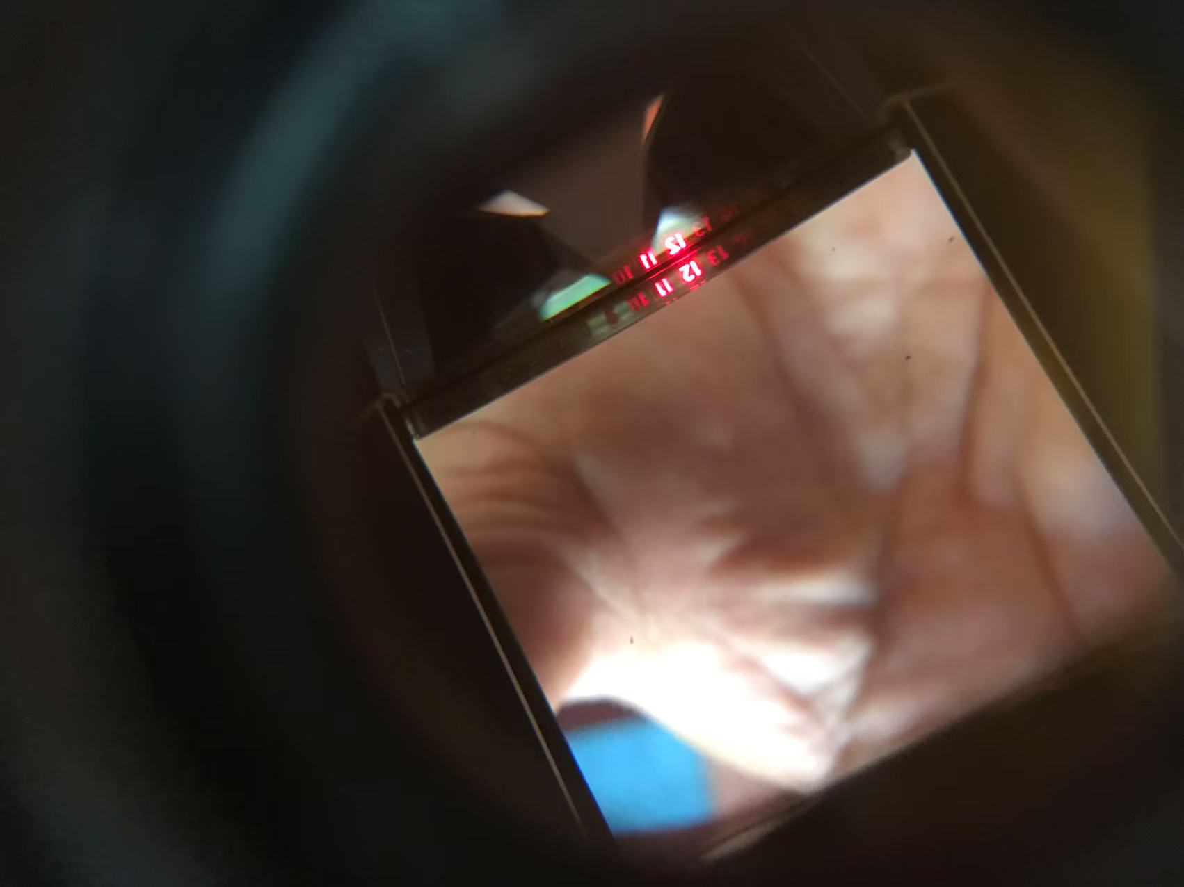 [Product=Camera][Brand=HASSELBLAD][Model=500 C][SN=UV 122188][Date=20250730][MD5=759d0fb4641746b3dc3604ffec2eda77].jpg