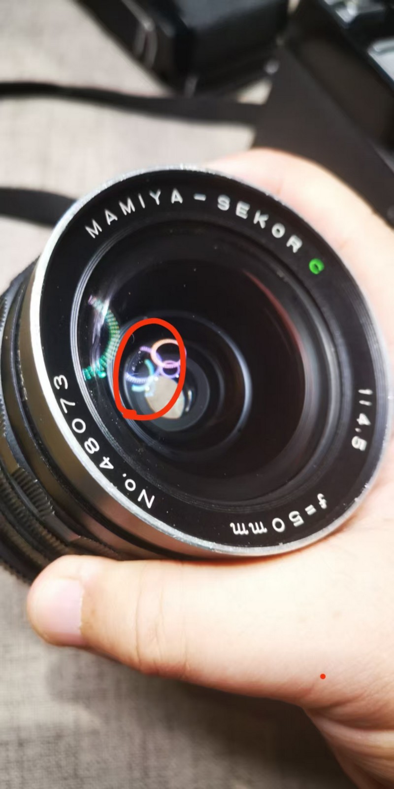 [Product=Camera][Brand=MAMIYA][Model=RB67 Pro S][SN=C161699][Date=20250801][MD5=40c811f04457e7c9b073f6549db82e3d].jpg