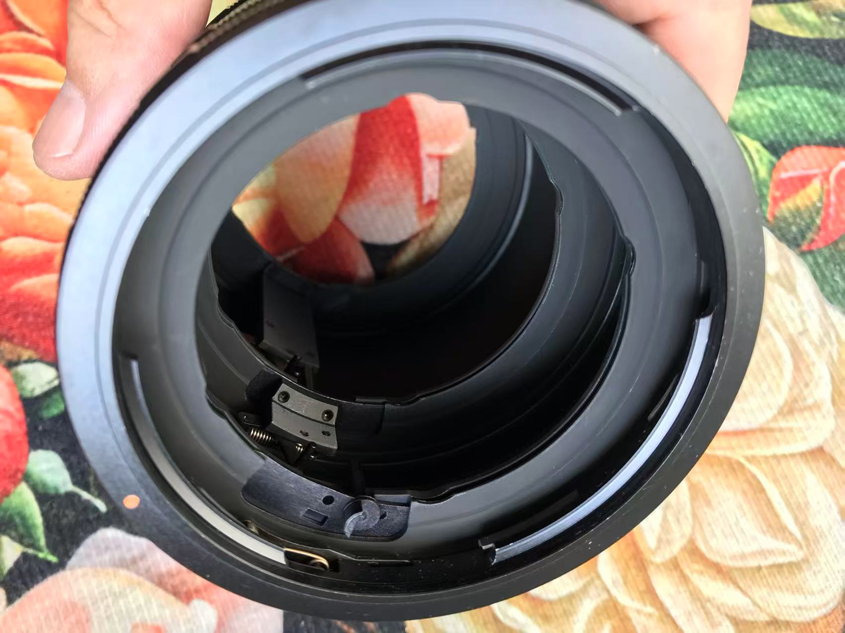 [Product=Lens][Brand=Pentax][Model=Super-Multi-Coated TAKUMAR 6X7 300mm F4][FocalLength=300][MaxAPT=4][Mount=PK 67][SN=8466326][Frame=6x7][Date=20250908][MD5=d741584007d4ca0c8de416919659bf0c].jpg