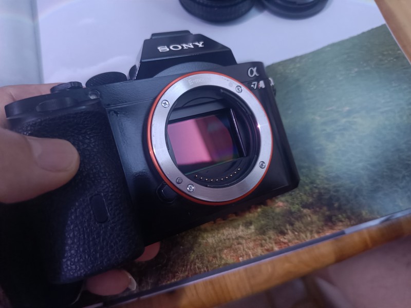 [Product=Camera][Brand=SONY][Model=ILCE-7R α 7R][SN=5277821][Date=20250912][MD5=ea2b7481cb9b6ab66bfee1a70029e357].jpg