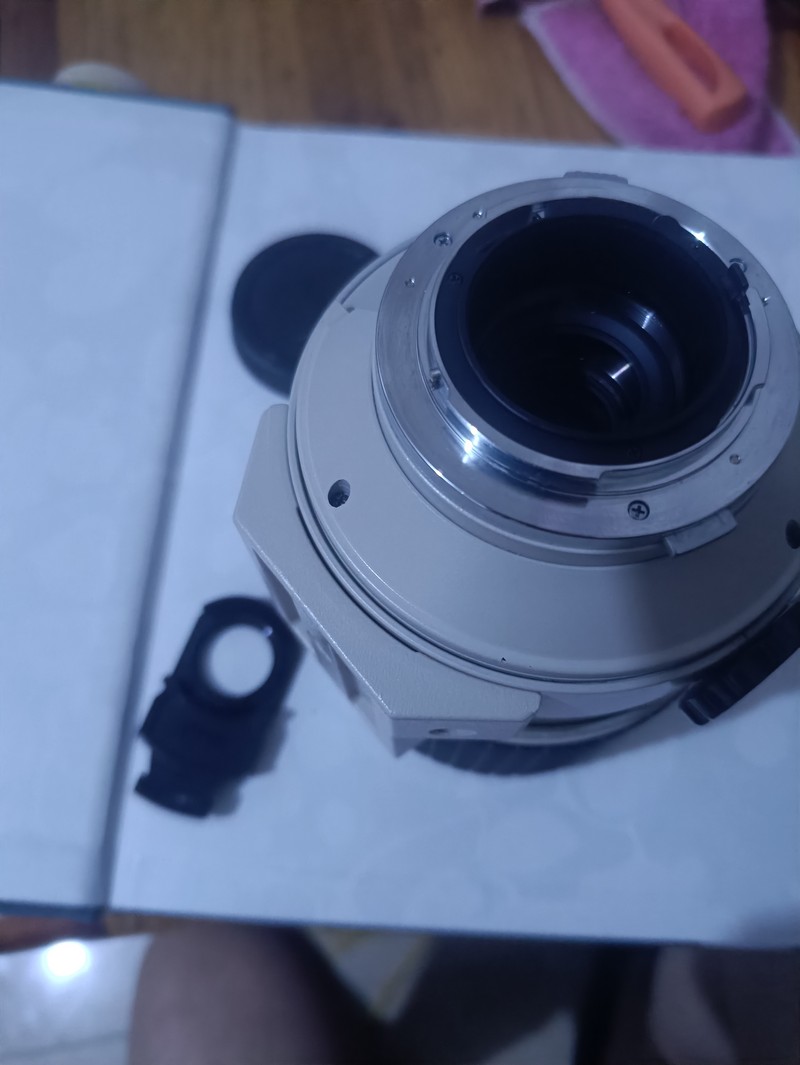 [Product=Lens][Brand=Sigma][Model=MIRROR-TELEPHOTO MULTI-COATED 600mm F8][FocalLength=600][MaxAPT=8][Mount=OM][SN=Σ-242505][Date=20250912][MD5=3430f743adb7080c2bed81aab2927b24].jpg