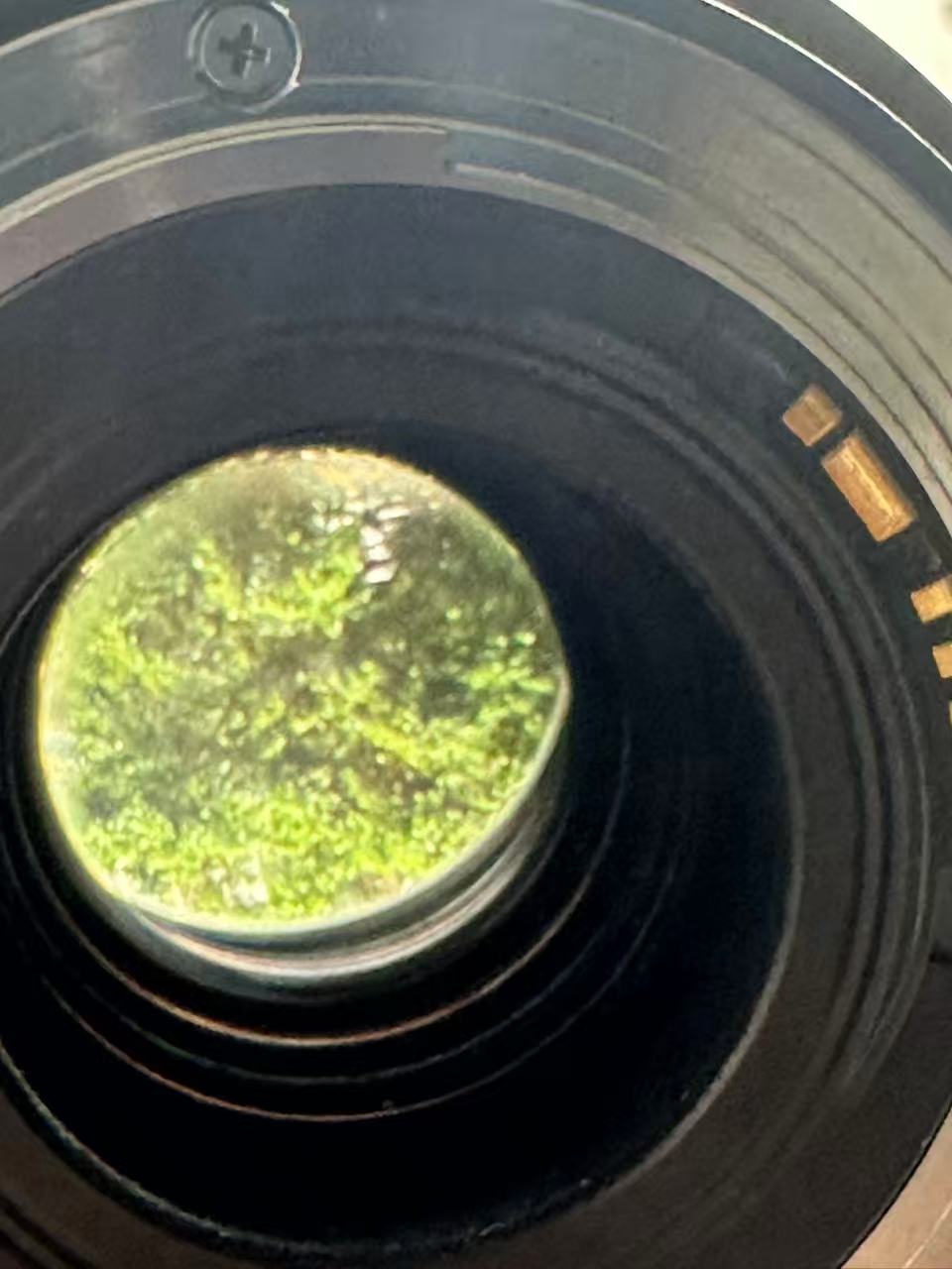 [Product=Lens][Brand=Canon][Model=EF 28-70mm F2.8 L][FocalLength=28-70][MaxAPT=2.8][Mount=EF][SN=52527][Date=20250917][MD5=7a4b3c0b9b955f60ef2683714606c7f8].jpg
