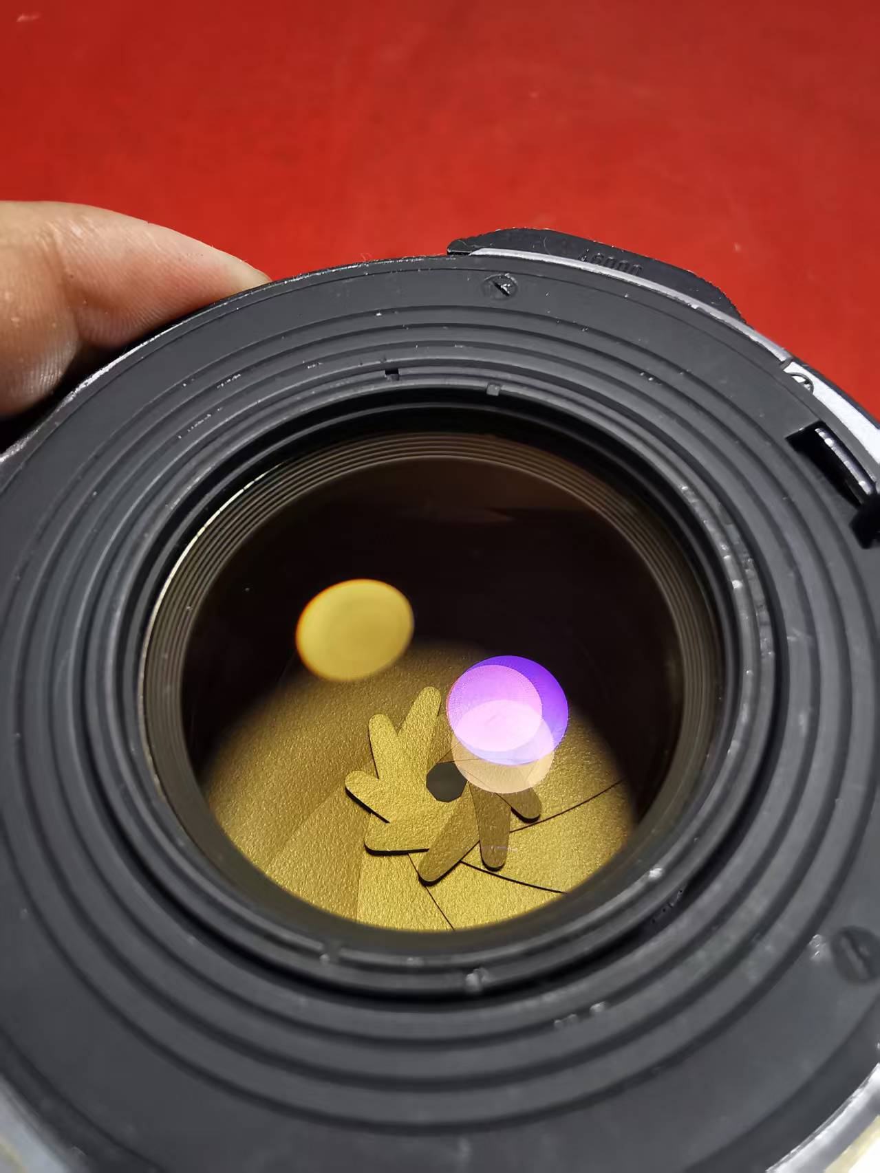 [Product=Lens][Brand=PENTAX][Model=SUPER-TAKUMAR 105mm F2.4][FocalLength=105][MaxAPT=2.4][Mount=PK67][SN=3394456][Frame=6x7][Date=20250712][MD5=fc30187151b1066d5b948e50140111a0].jpg