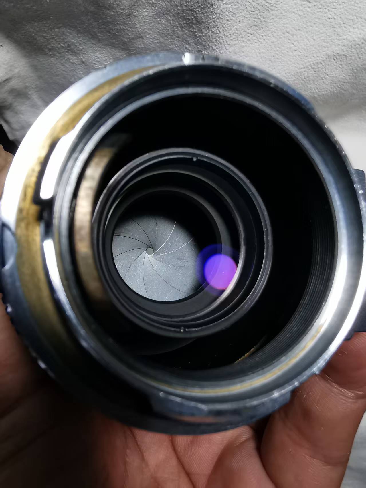 [Product=Lens][Brand=Nippon Kogaku][Model=NIKKOR-P 105mm F2.5][FocalLength=105][MaxAPT=2.5][SN=817666][Frame=135][Date=20250719][MD5=bee9e2588b1445932e270fc102469837].jpg