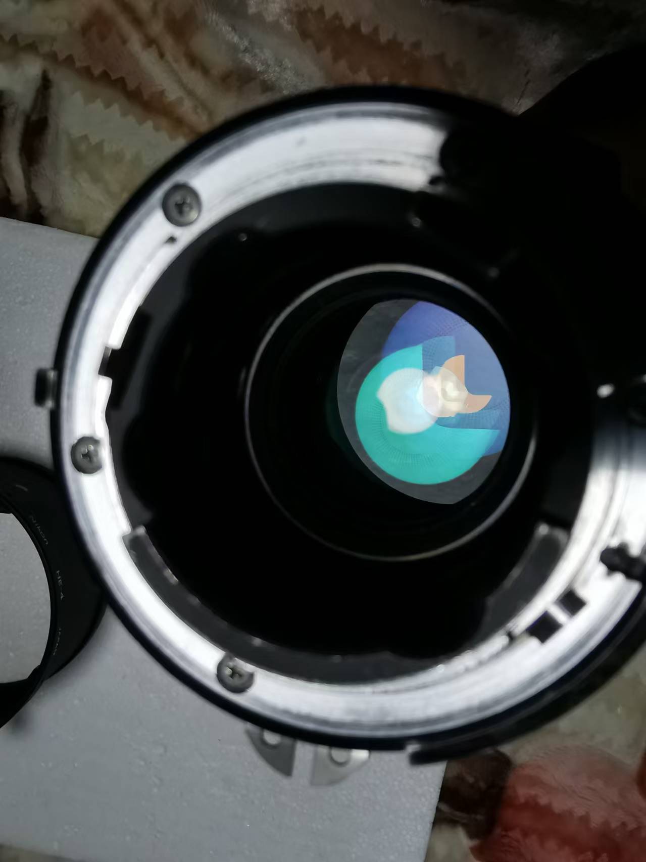 [Product=Lens][Brand=Nikon][Model=NIKKOR 300mm F2.8 ED][FocalLength=300][MaxAPT=2.8][Mount=AI-S][SN=622577][Frame=135][Date=20241123][MD5=ae970744435bc5df890ecc91d85ba347].jpg