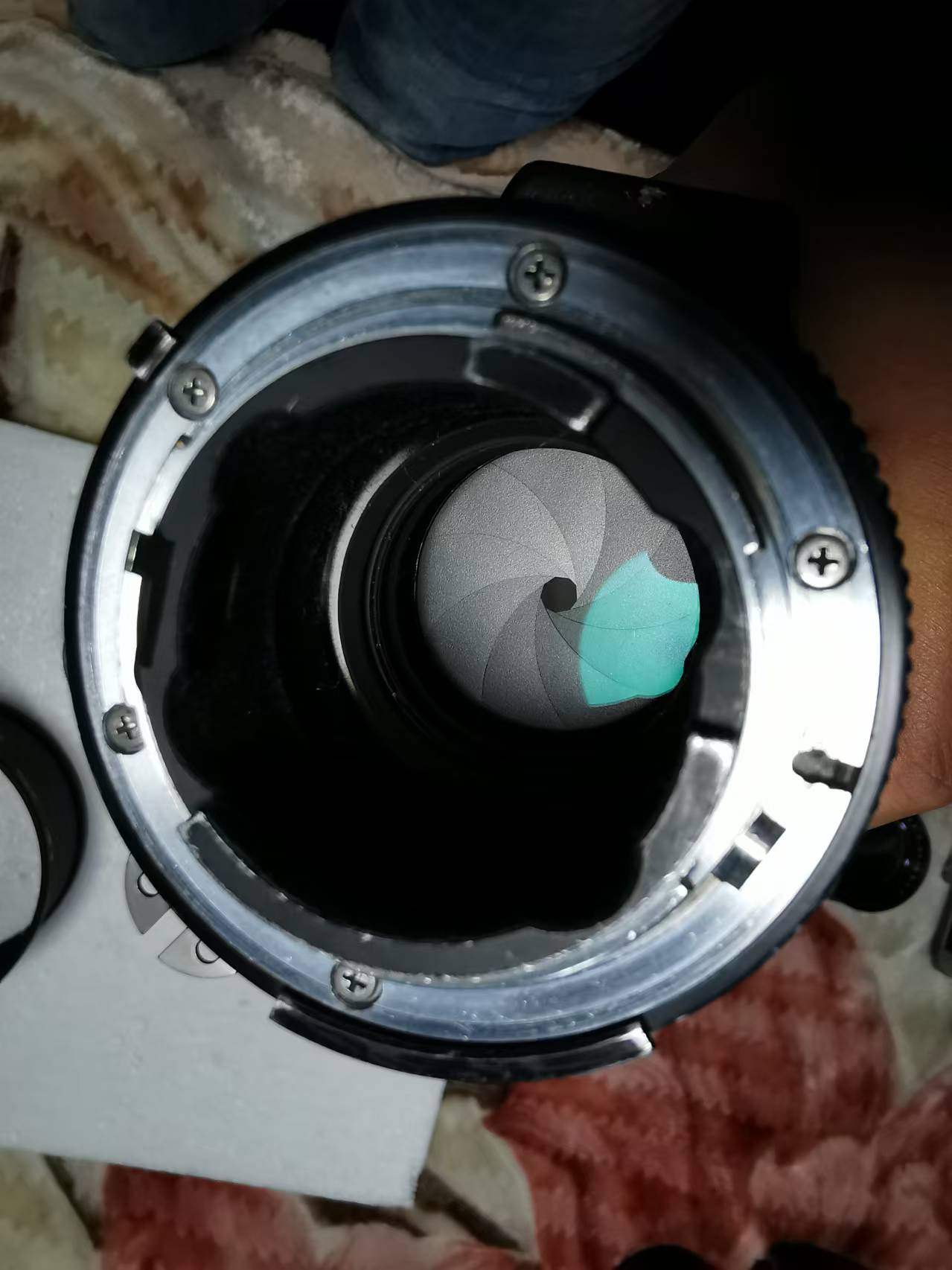 [Product=Lens][Brand=Nikon][Model=NIKKOR 300mm F2.8 ED][FocalLength=300][MaxAPT=2.8][Mount=AI-S][SN=622577][Frame=135][Date=20241123][MD5=e37c6fceff84a074189e01ff1cd198f5].jpg