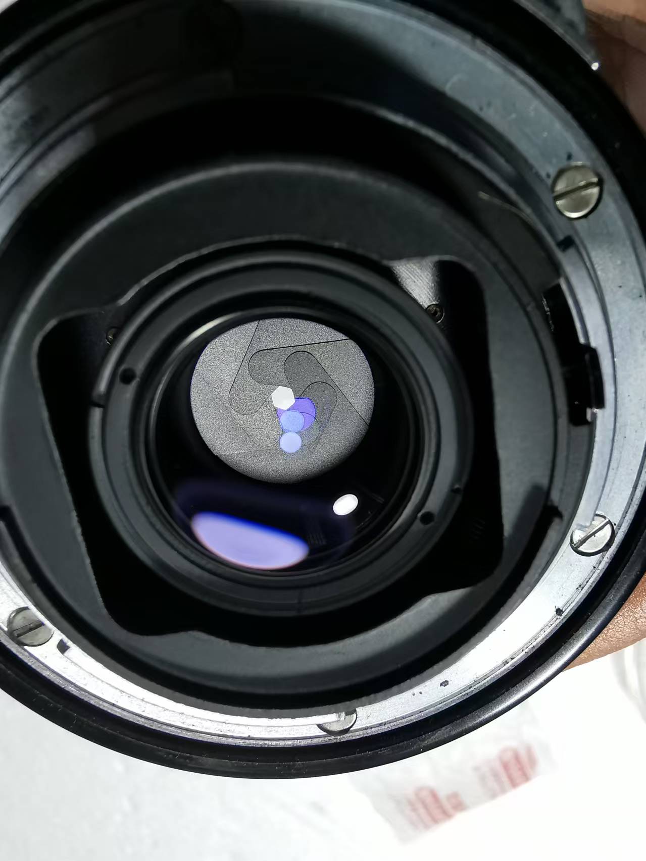 [Product=Lens][Brand=Nikon][Model=Micro-NIKKOR-P Auto 55mm F3.5][FocalLength=55][MaxAPT=3.5][SN=716196][Frame=135][Date=20241130][MD5=de36520182e7d89d9b0af9cf6b19b0ee].jpg