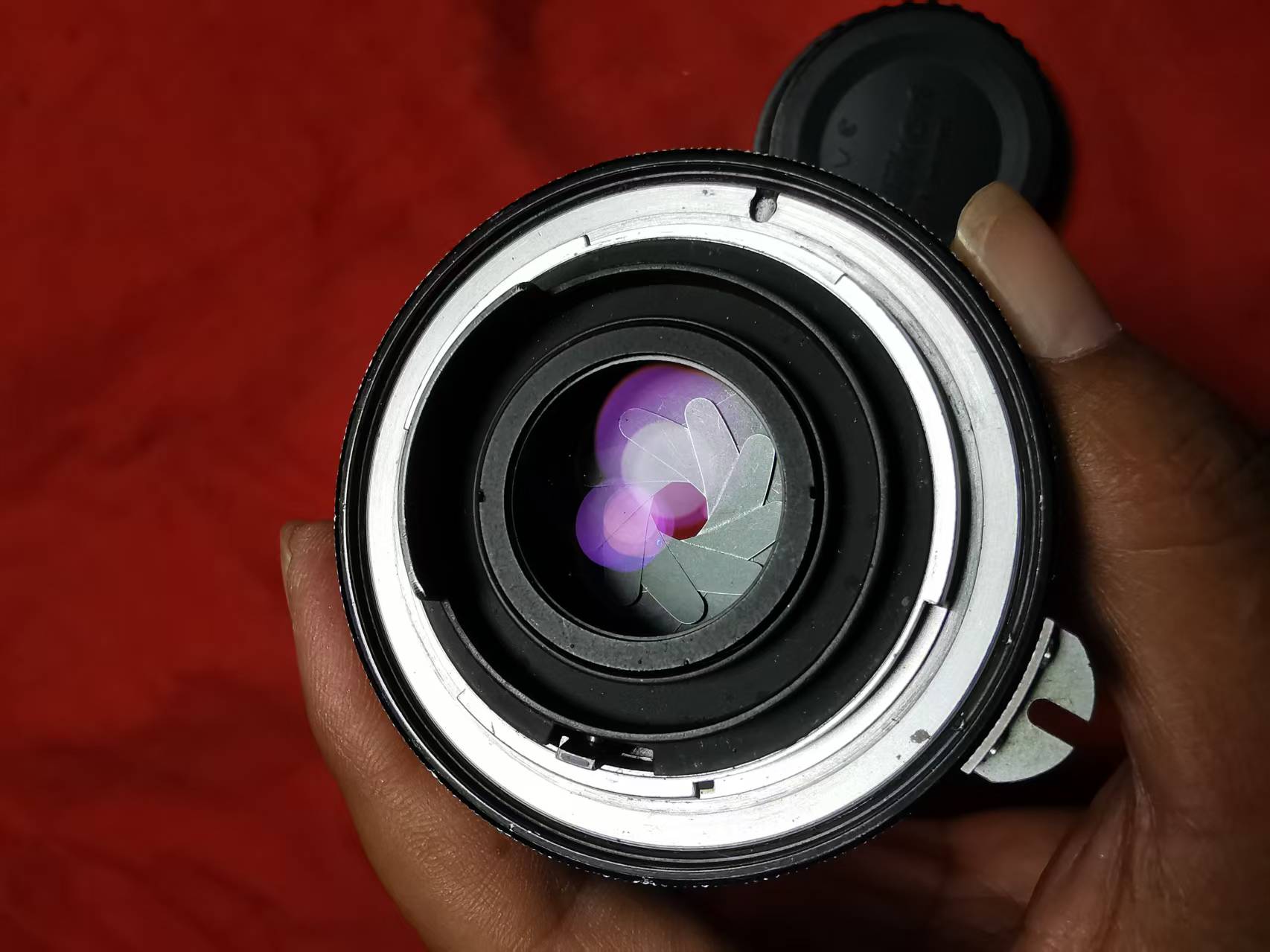 [Product=Lens][Brand=Nippon Kogaku][Model=NIKKOR-S Auto 50mm F2][FocalLength=50][MaxAPT=2][SN=534398][Frame=135][Date=20250816][MD5=a645535ccb14a14c9e88c43e61de4375].jpg