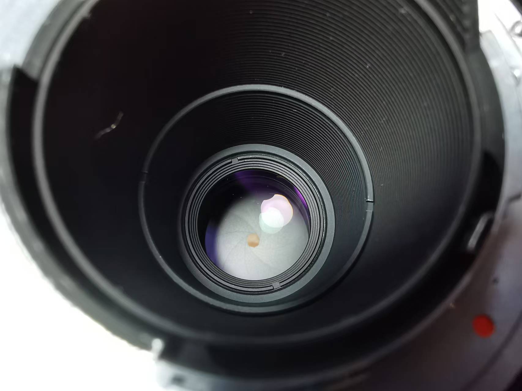 [Product=Lens][Brand=Carl Zeiss][Model=Tele-Tessar 300mm F4][FocalLength=300][MaxAPT=4][Mount=YC][SN=7331866][Date=20250104][MD5=5baf4a55531ef1f0235d52f321a5643a].jpg